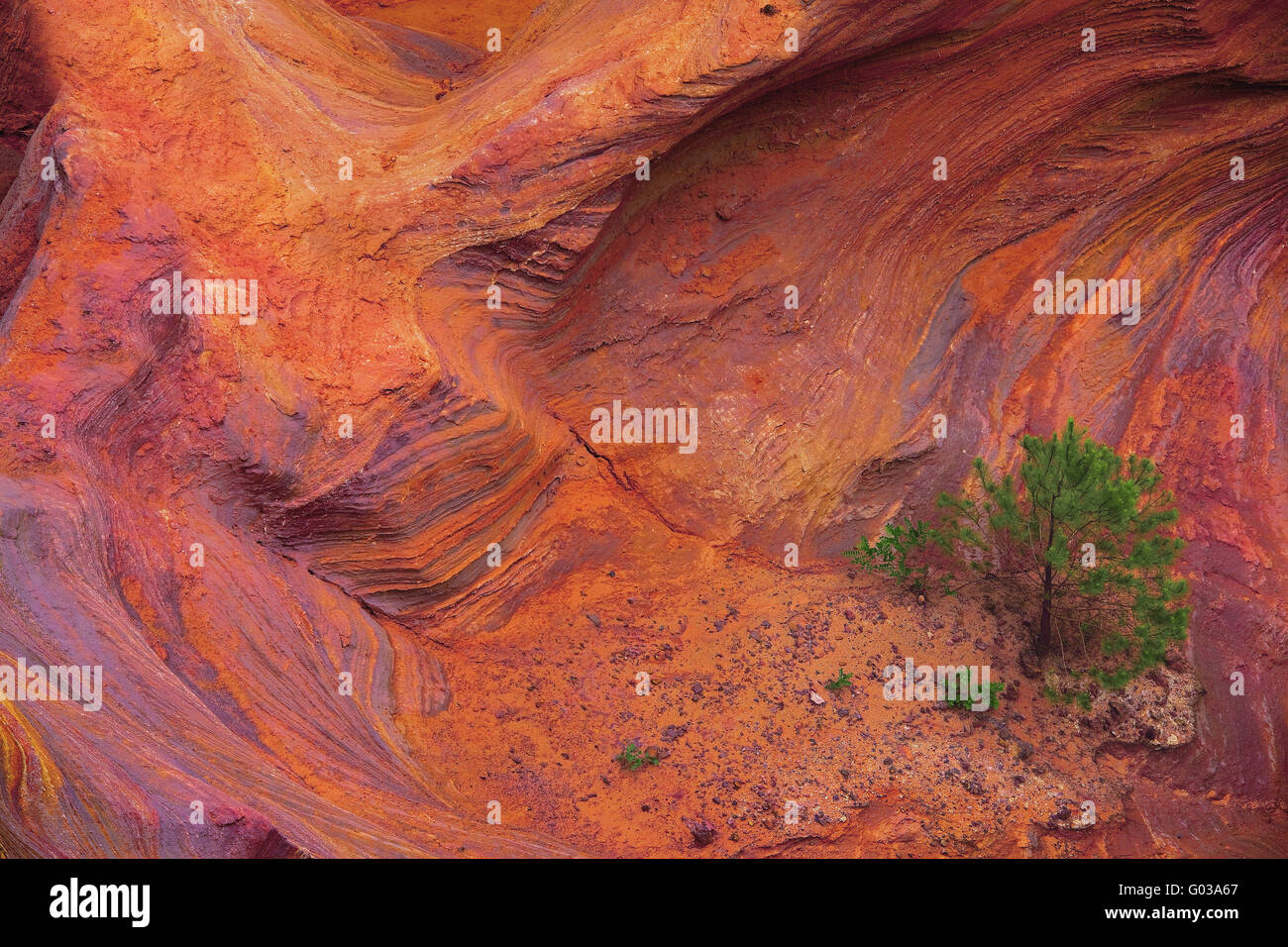 ockerfarbene Klippen in der Nähe von Roussillon, Provence, Frankreich Stockfoto