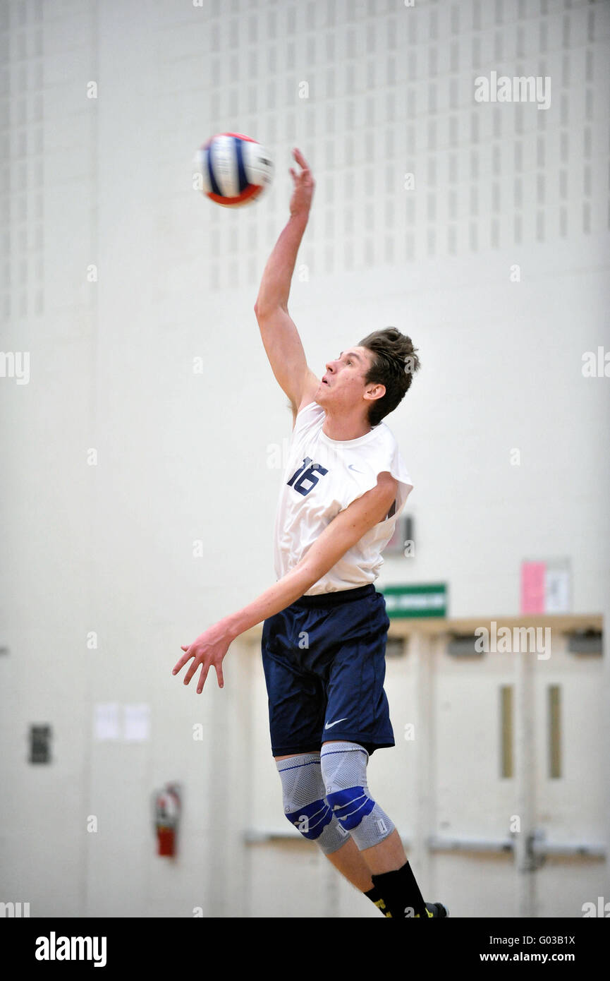 Player liefern eine Leistung dienen während der High School Volleyball übereinstimmen. USA. Stockfoto