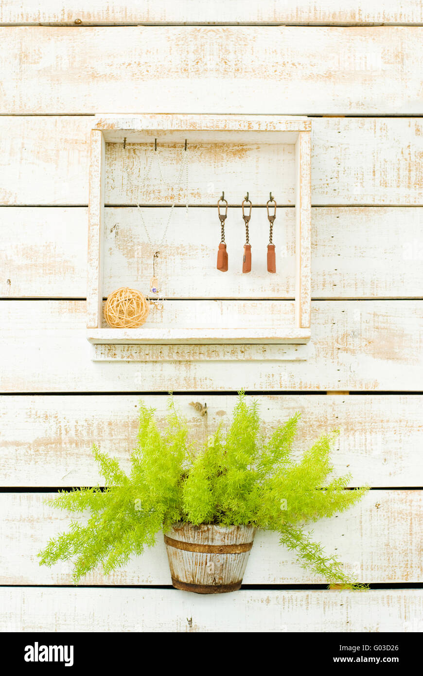 Pflanzen auf weißen raue Holzwand als Dekoration Stockfoto