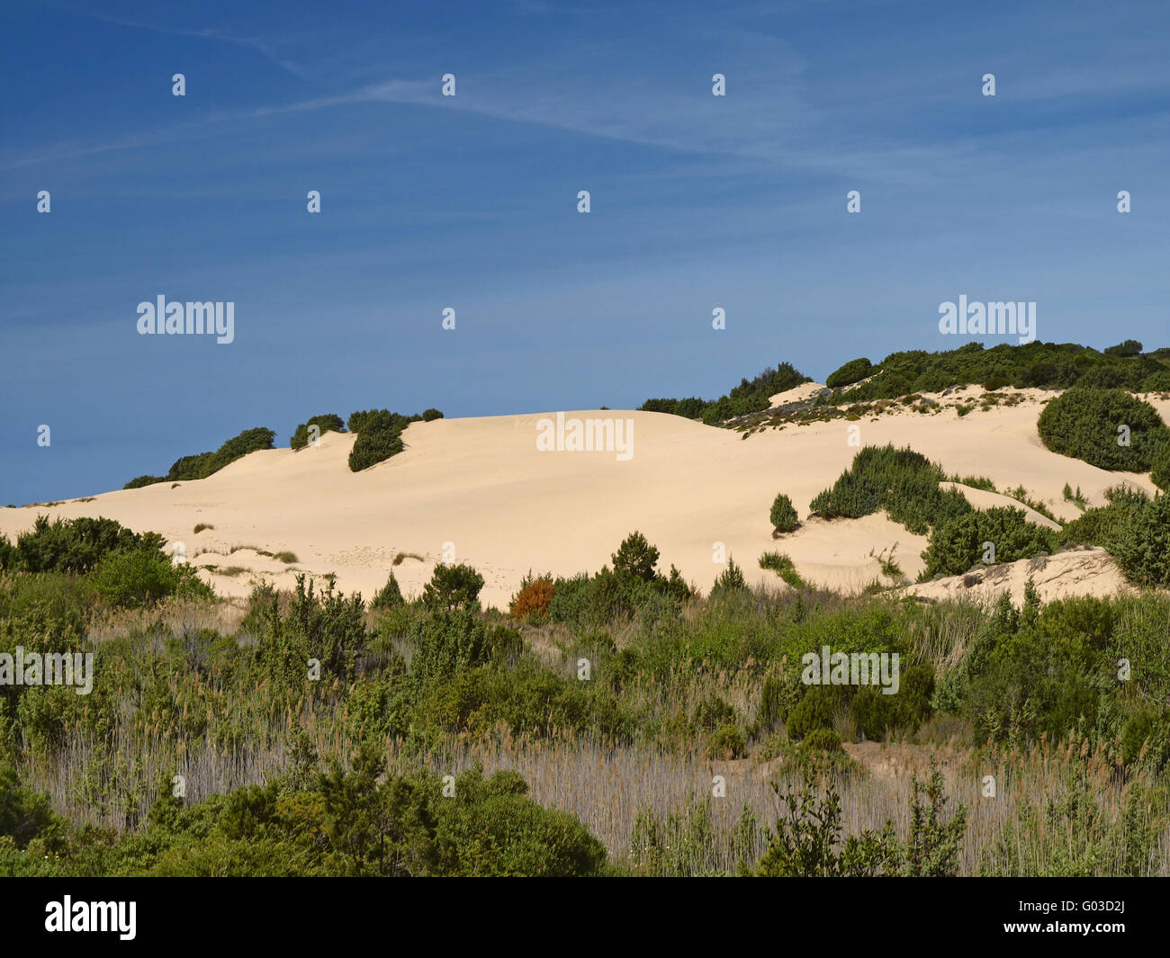 Piscinas, Dünen Landschaft, Costa Verde, Sardinien Stockfoto