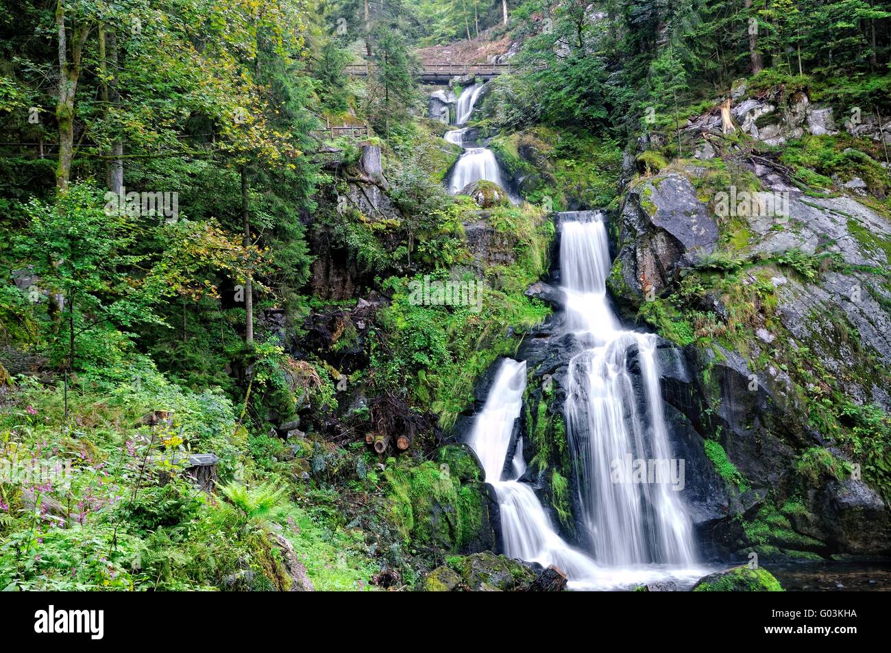 Triberger Wasserfälle im schwarzen Wald Deutschland Stockfoto