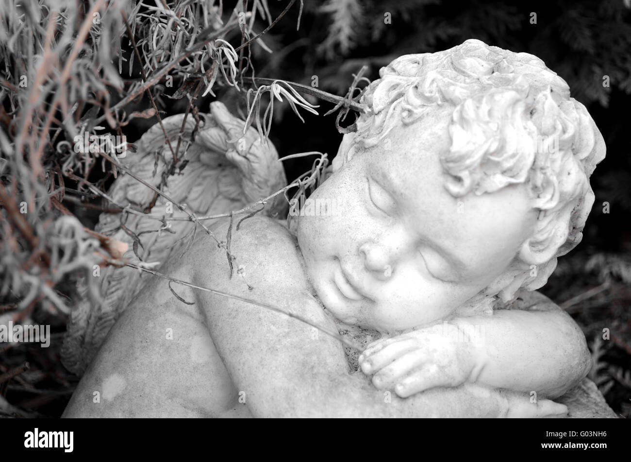 Engel im Garten Stockfoto