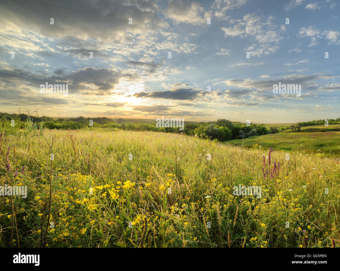 Die Landschaft des Feldes mit einem spektakulären Himmel Stockfoto