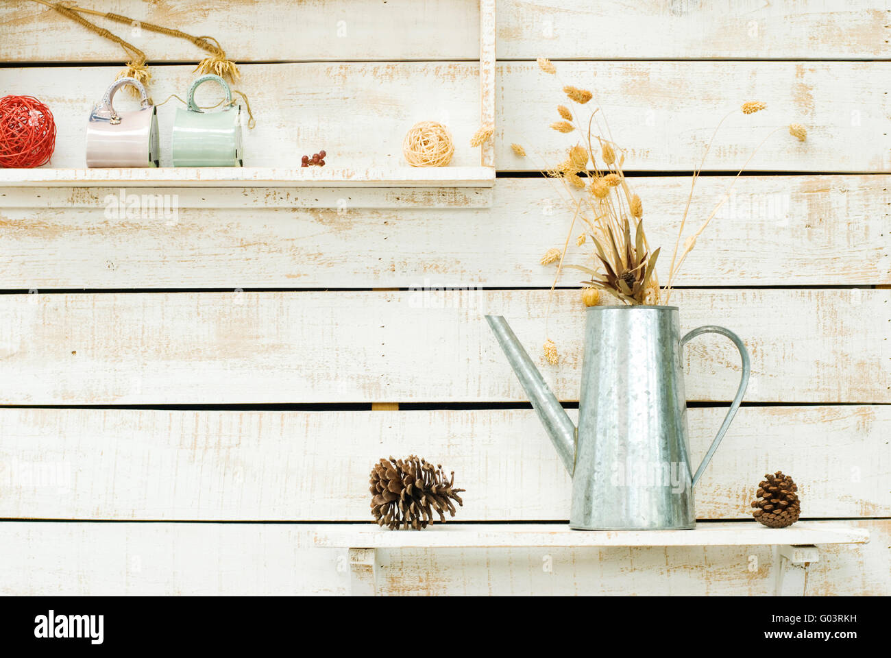 Pflanzen auf weißen raue Holzwand als Dekoration Stockfoto
