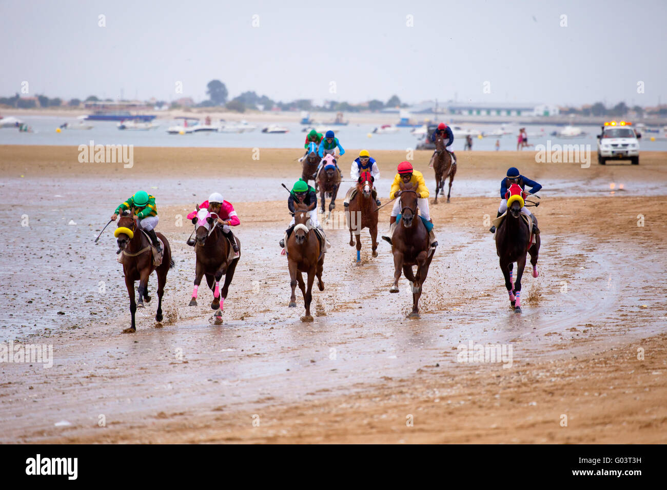 Pferderennen auf Sanlucar Barrameda, Spanien, August Stockfoto