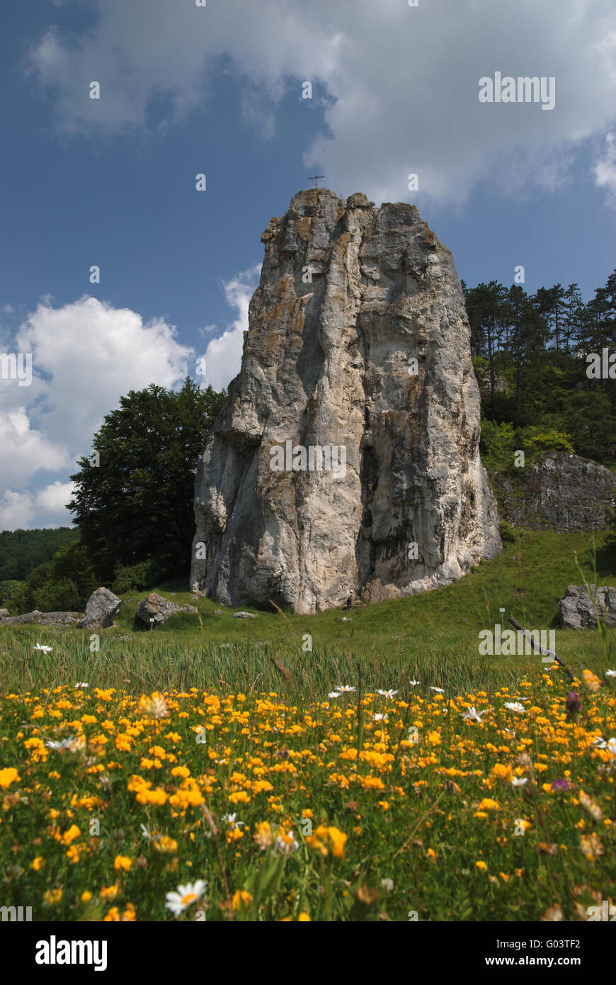 Blumenwiese in der Felsenburg Stein mit Dollns Stockfoto