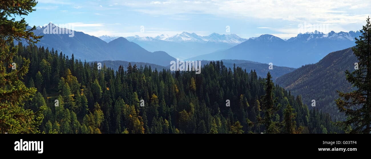 Berg-Holz mit Mieminger Gebirge mit Leutas Stockfoto