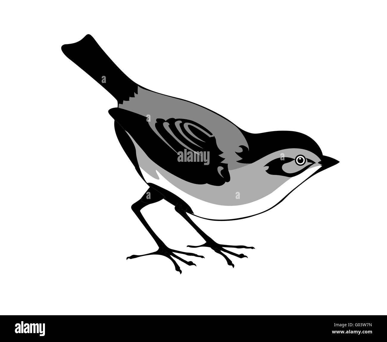 Vektor-Silhouette des Vogels auf weißem Hintergrund Stockfoto