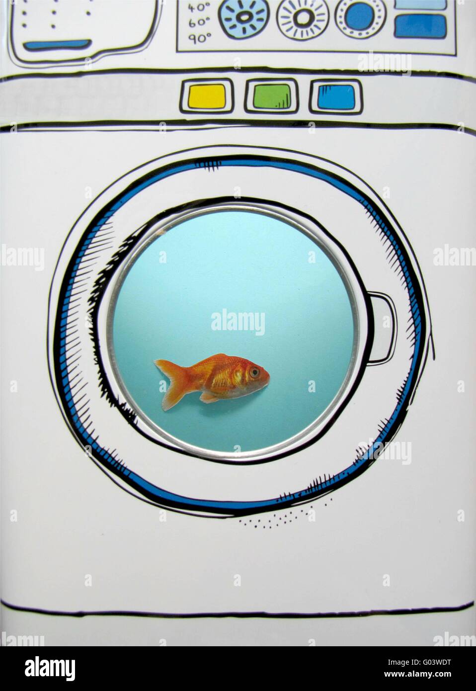 Goldfisch Stockfoto