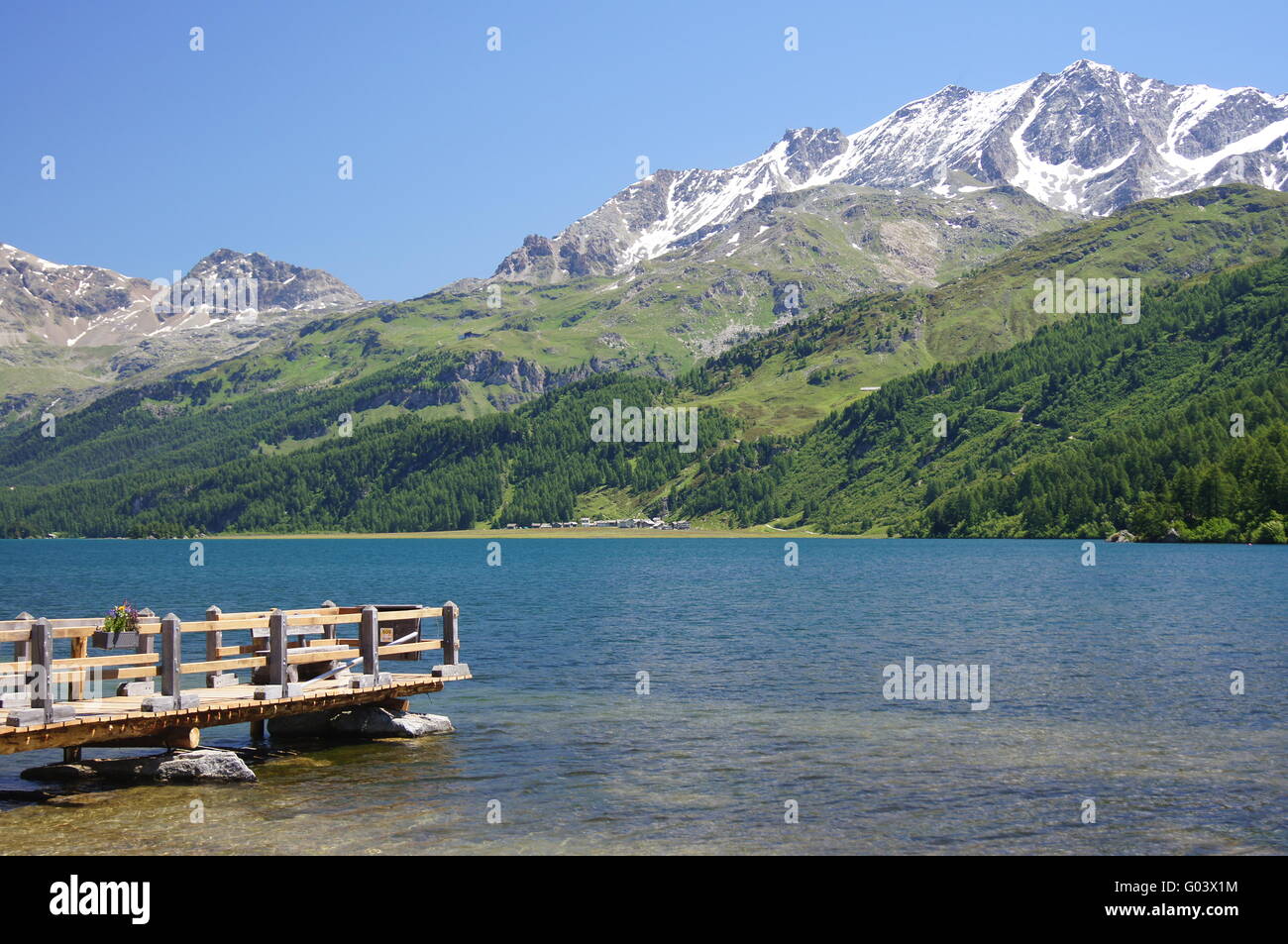 Schiff-Web im Oberengadin Stockfoto