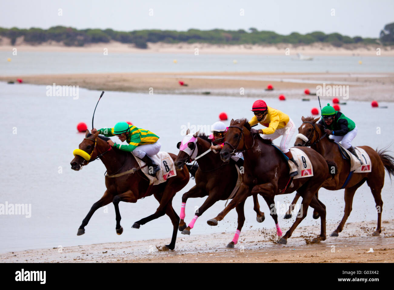 Pferderennen auf Sanlucar Barrameda, Spanien, August Stockfoto