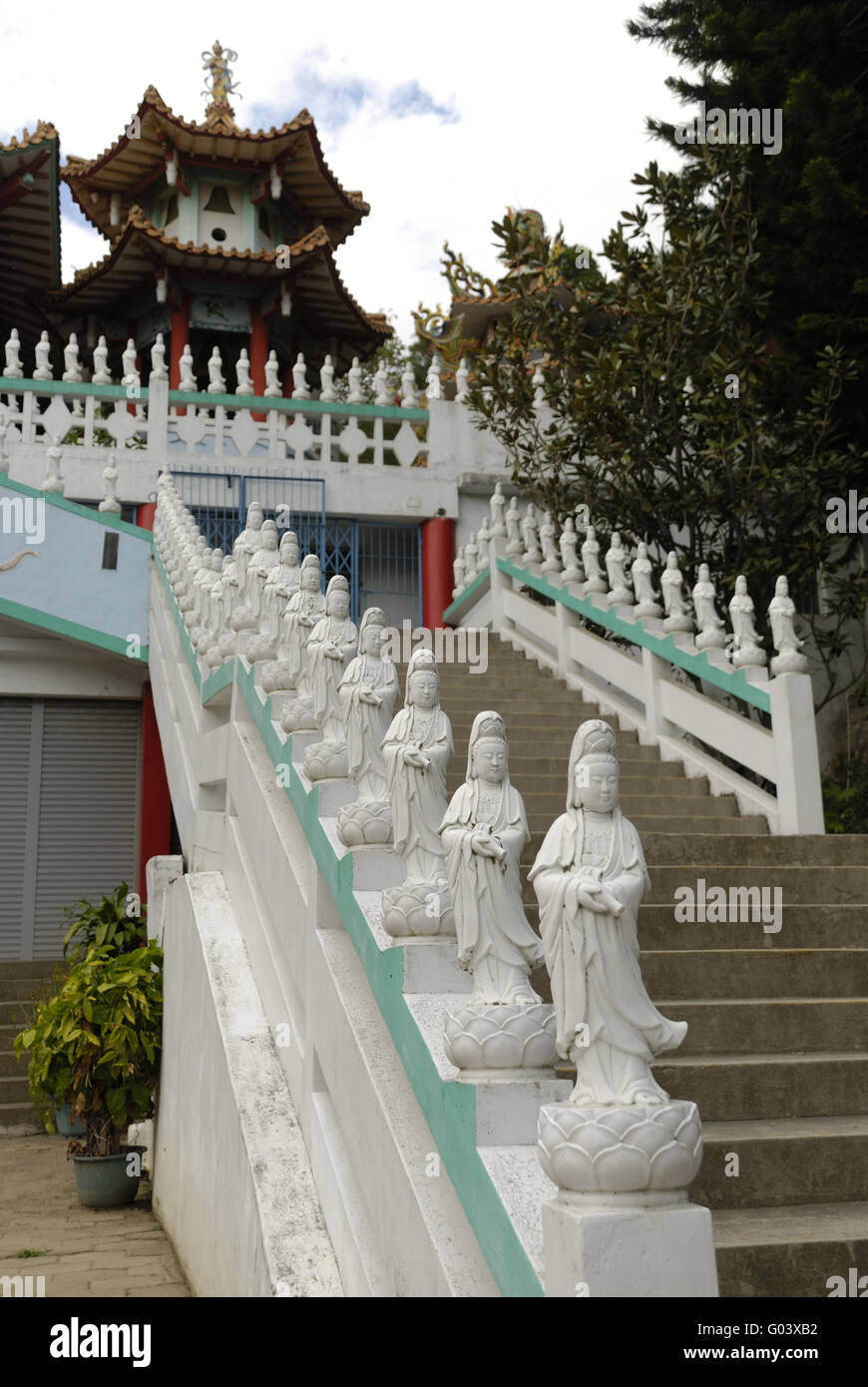 Kuanyin Statuen am Drache und Phoenix Temple Taid Stockfoto