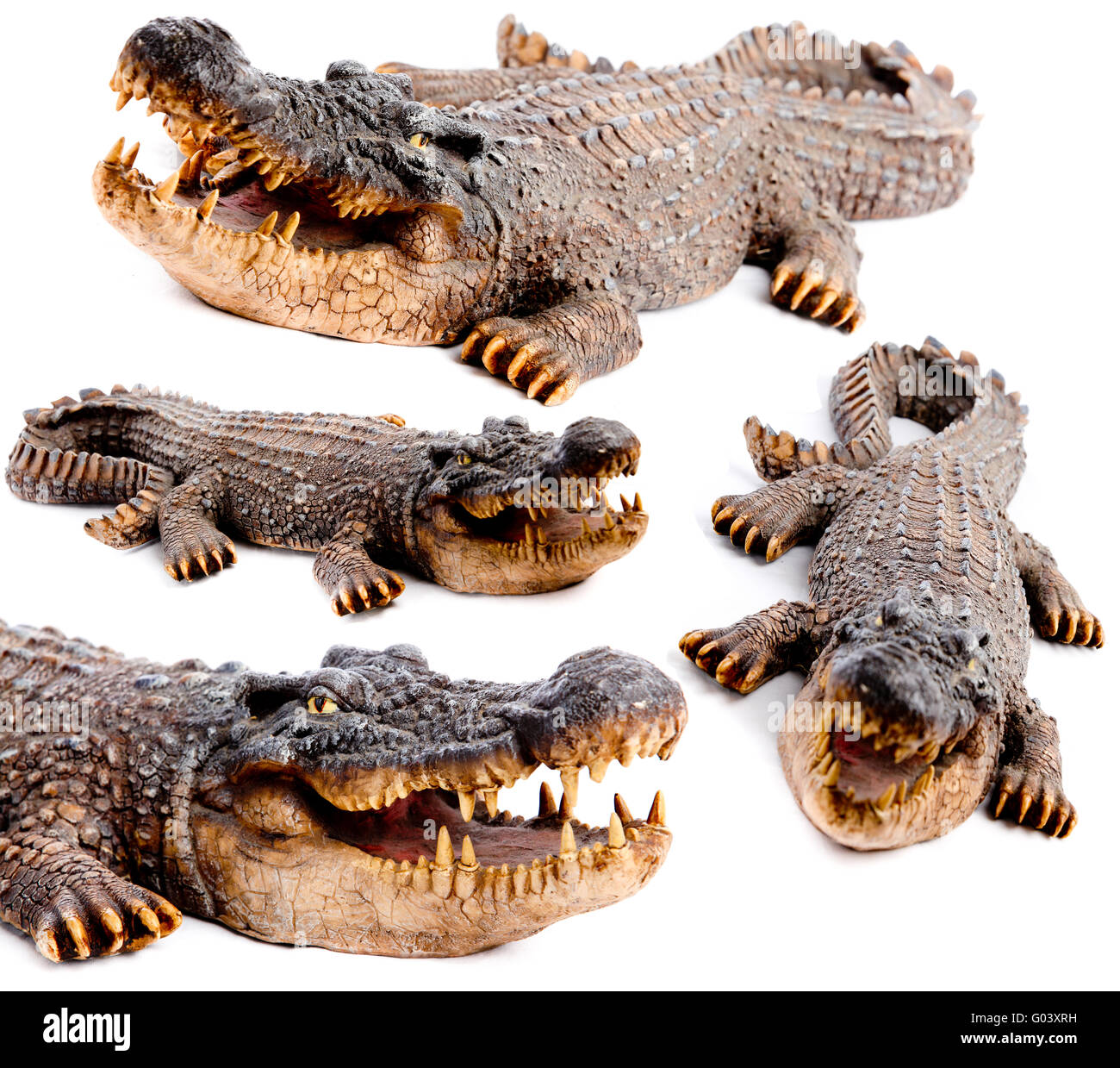 Krokodil Kopf mit geöffnetem Mund groß - isolieren Stockfoto
