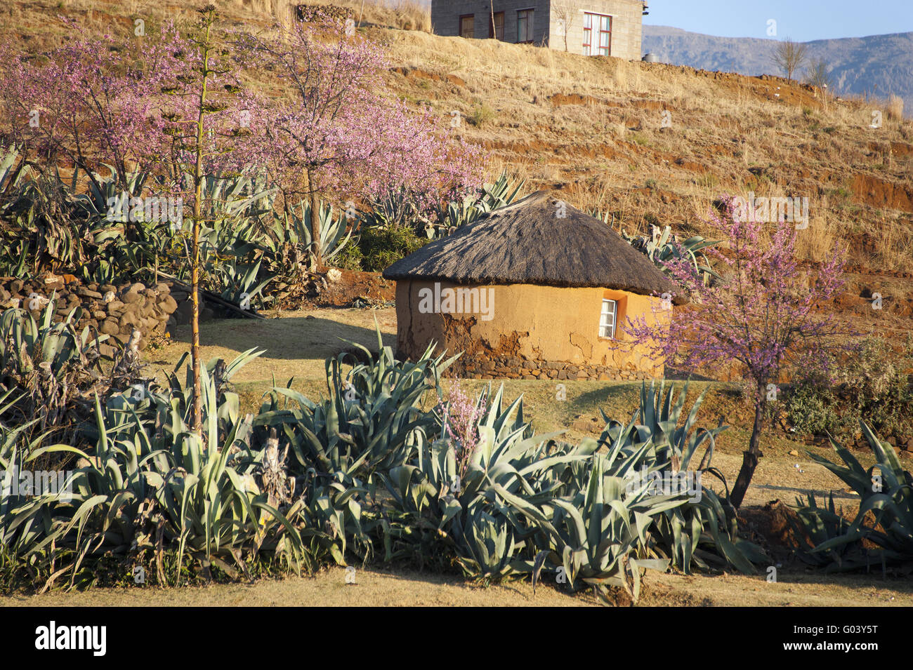 Dorf, Lesotho Stockfoto