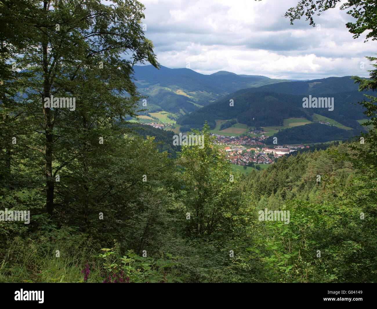 Blick auf das Kinzigtal im Schwarzwald Stockfoto