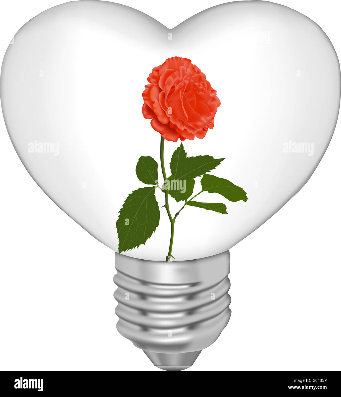 Lampe in Form von Herzen und in ihr eine Blume Stockfoto