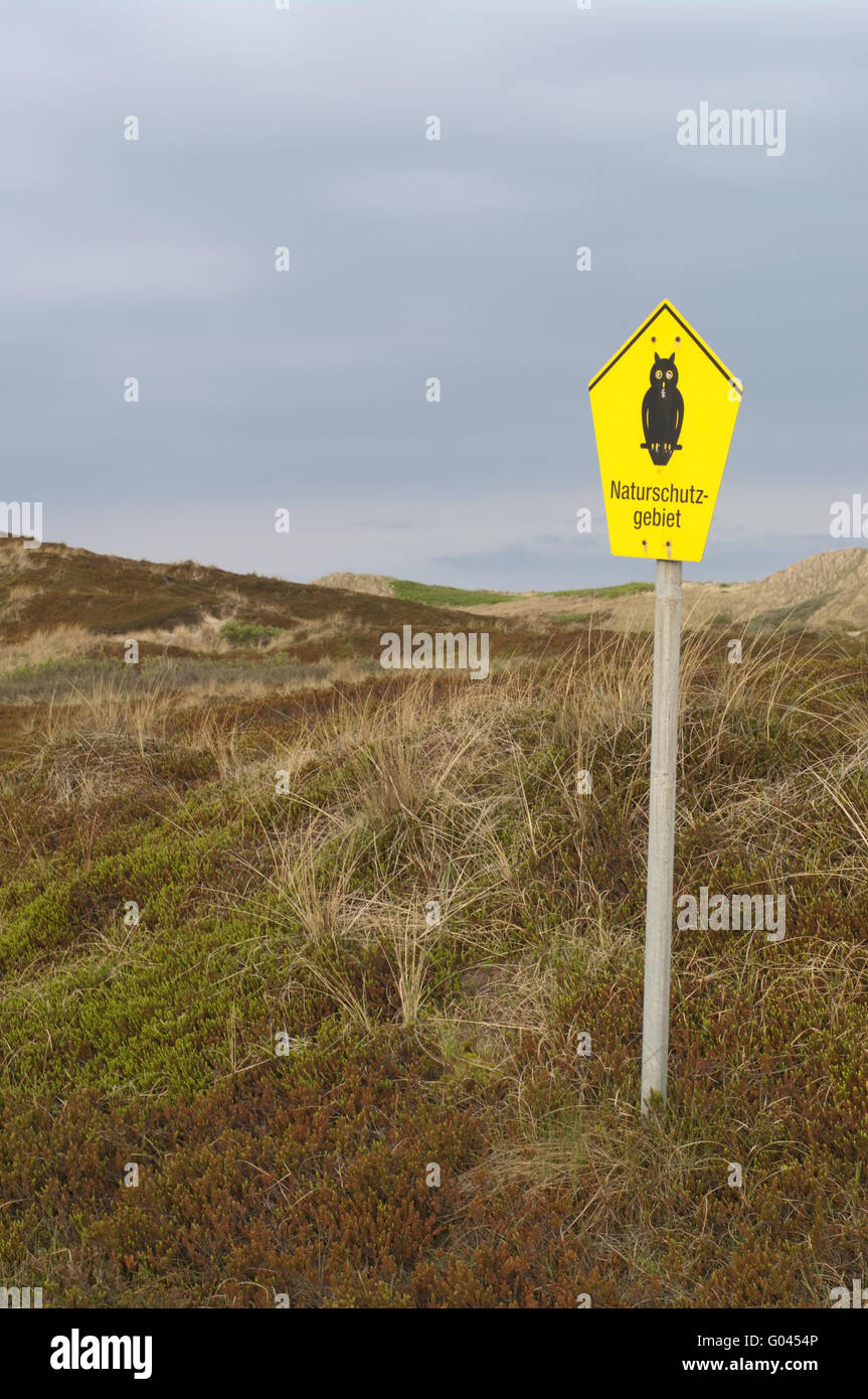 Naturschutzgebiet Dünen auf sylt Stockfoto