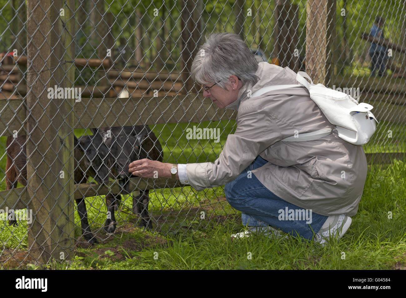 ältere Dame, die Fütterung der Ziegen in das Wildreservat Stockfoto