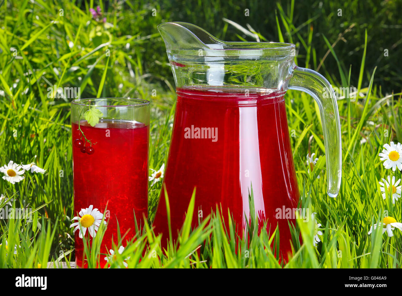 Glas und Krug Fruchtwasser über grünen Rasen Stockfoto