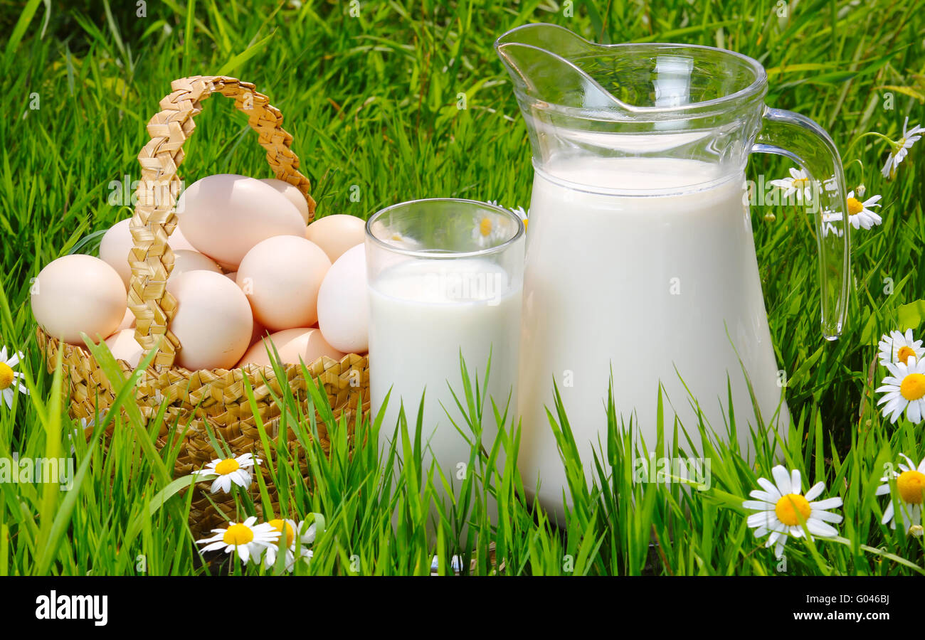 Krug und Glas Milch mit Eiern, Rasen und Gänseblümchen Stockfoto
