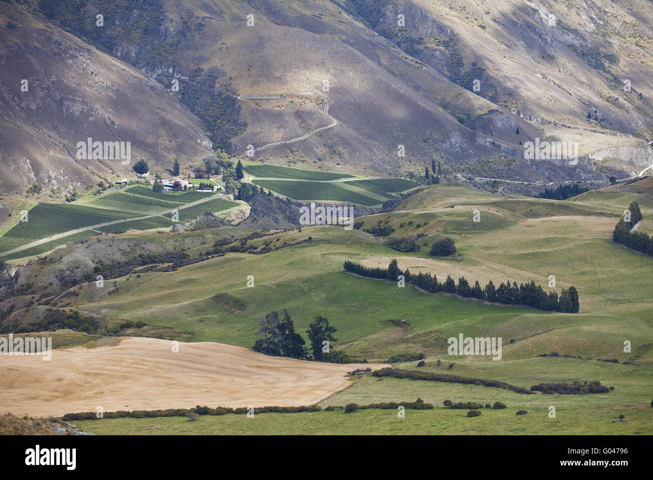 Crown Range, Neuseeland Stockfoto