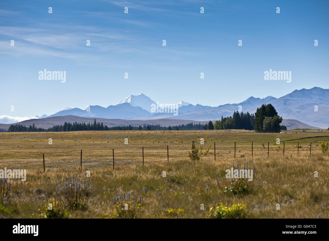 Mackenzie-Land. Neuseeland Stockfoto