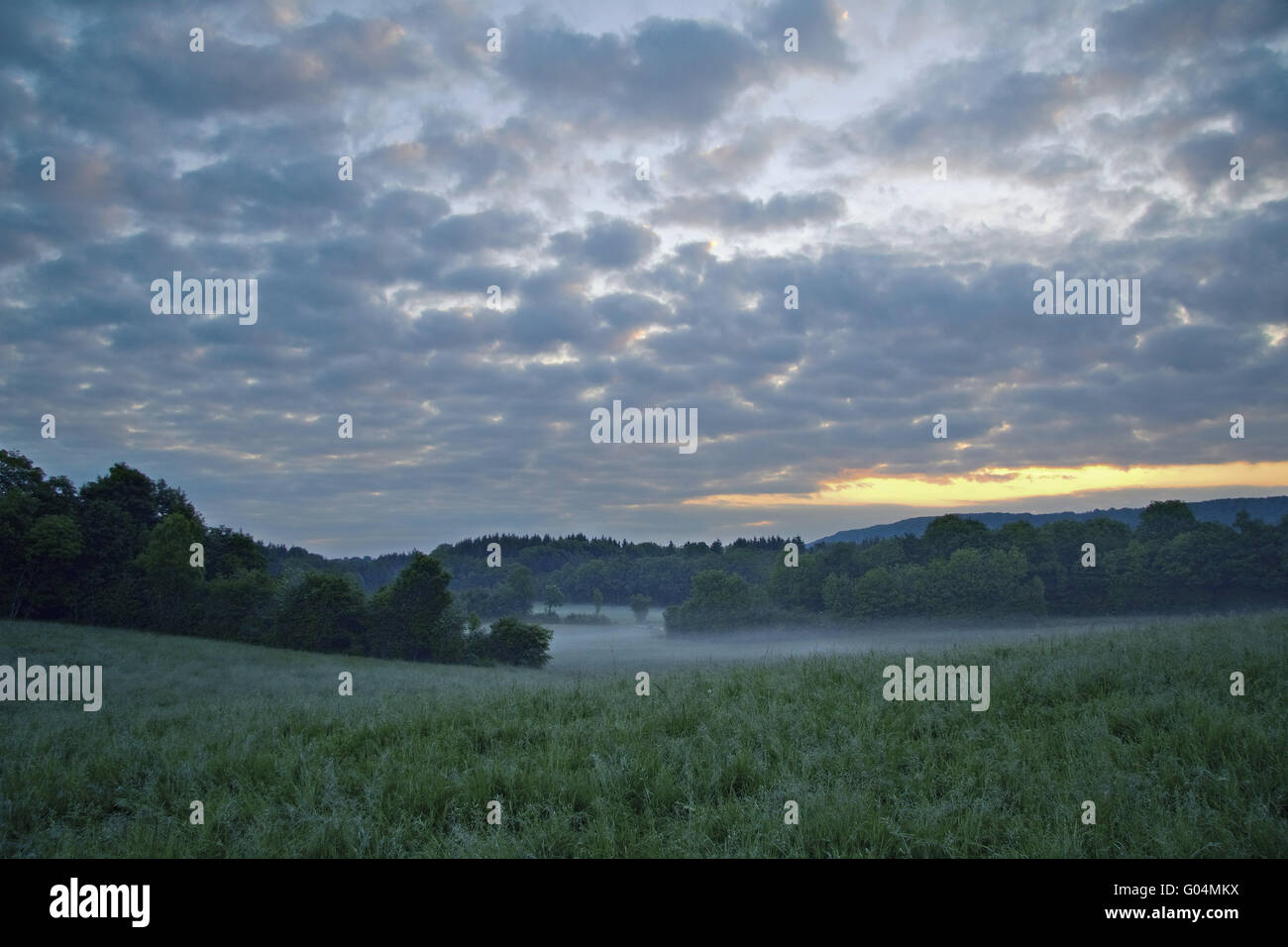 Landschaft in der Nähe von La Marre, Franche-Comté, Frankreich Stockfoto