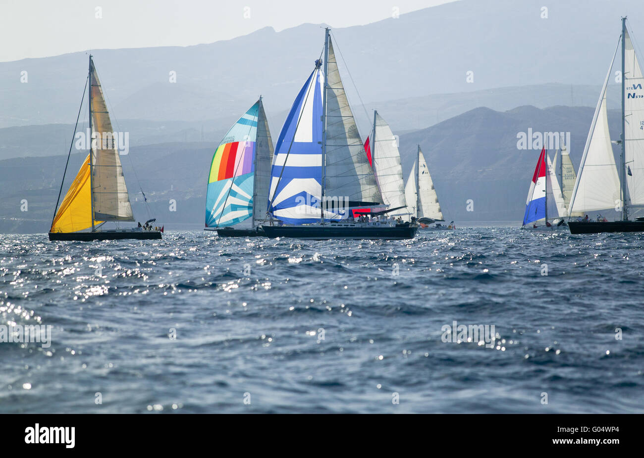 Segelregatta Stockfoto