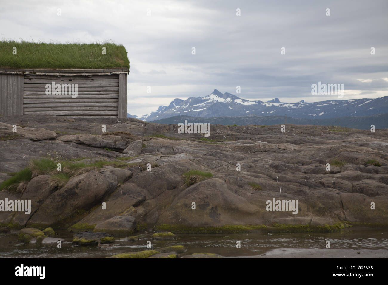 Skandinavische Kabine mit Dach des Grases, Bodo, Norwegen Stockfoto