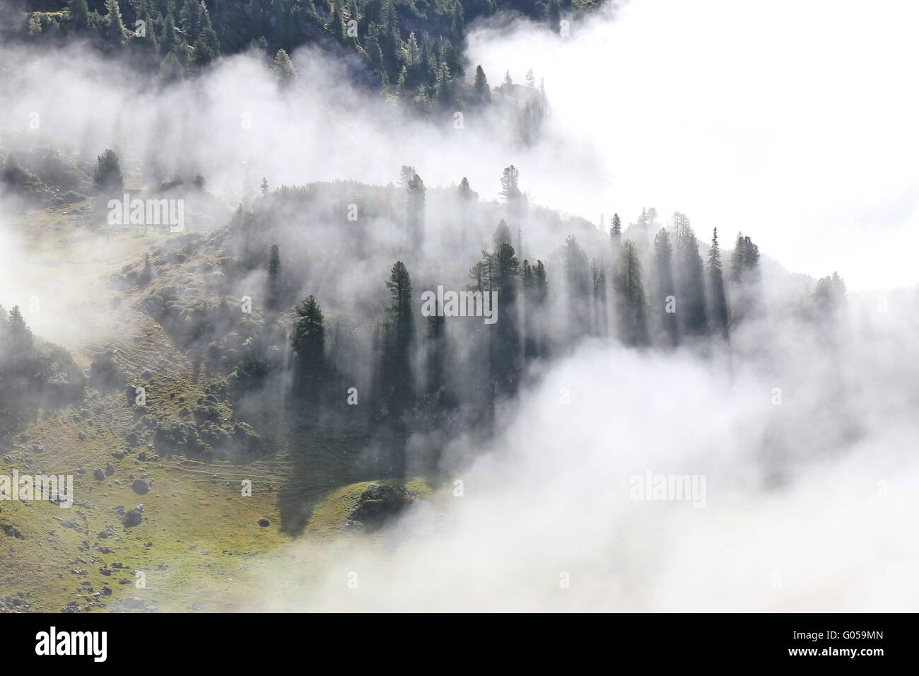 Bäume in den Wolken über den Achensee Stockfoto