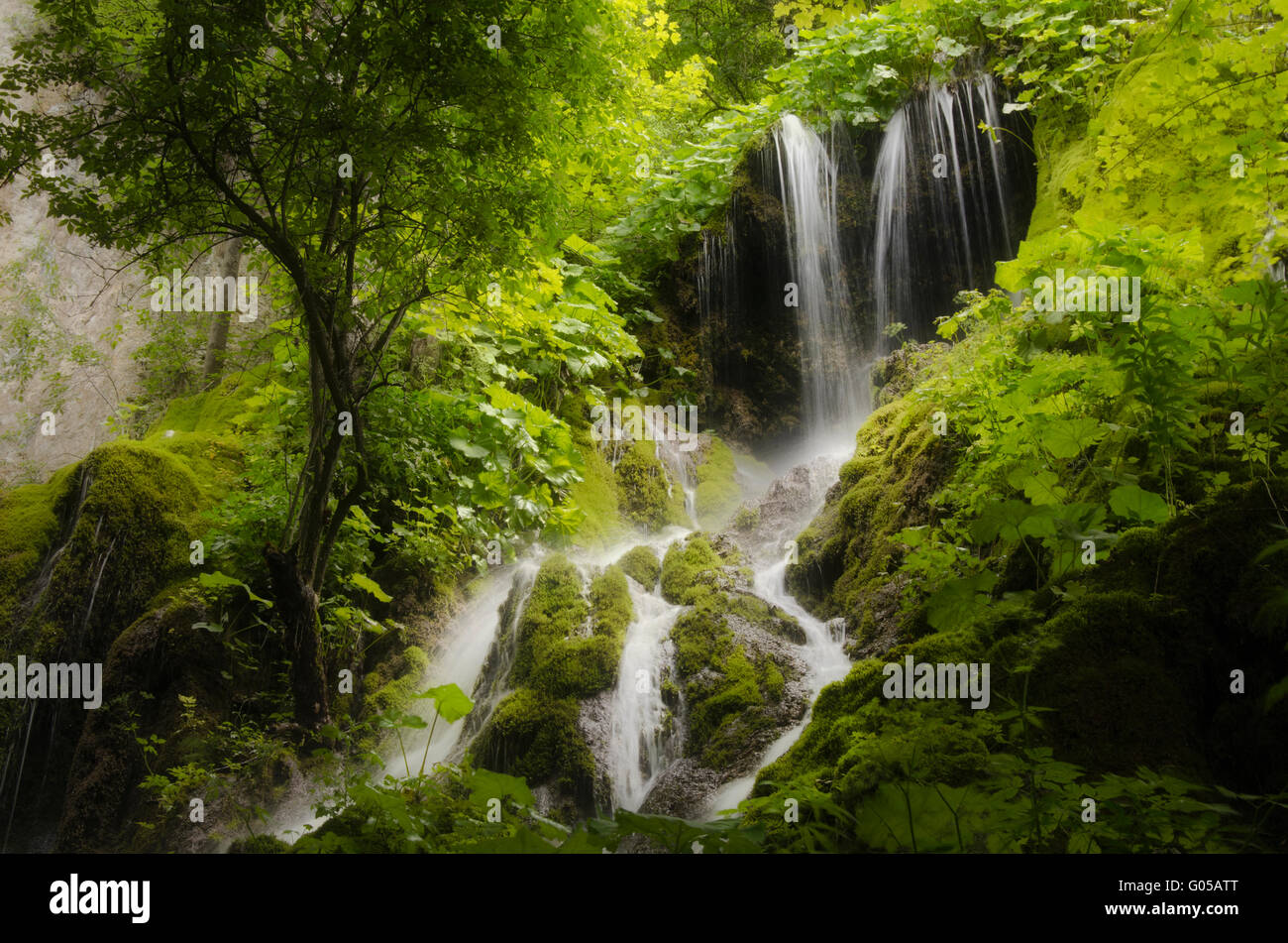 Wasserfall am Fluss im grünen Wald Stockfoto