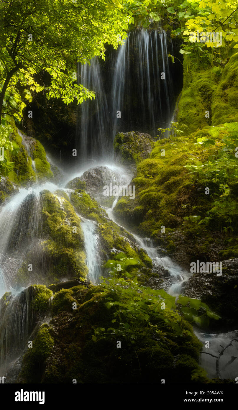 Wasserfall am Fluss im grünen Wald Stockfoto