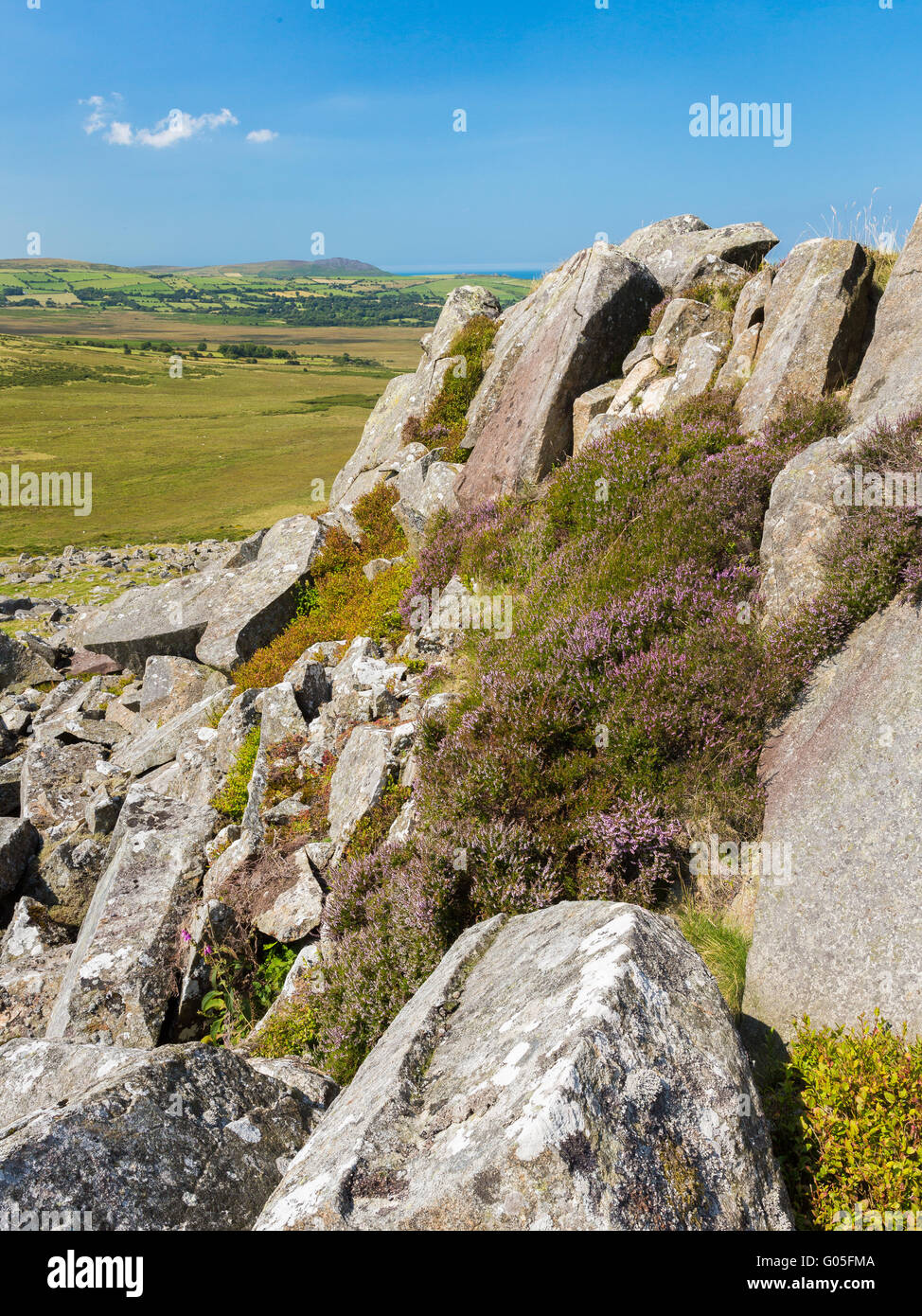 Die antike Stätte von Carn Goedog in den Preseli-Bergen - wo die Blausteine stammen, die Stone Henge - Pembrokeshire gebaut Stockfoto