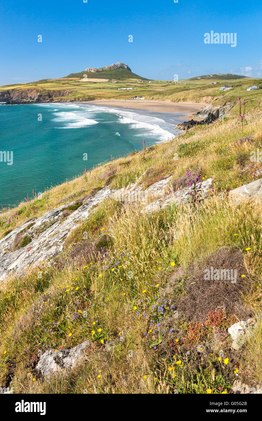 Whitesands Bay, Carn Llidi in der Nähe von St Davids - Pembrokeshire Stockfoto