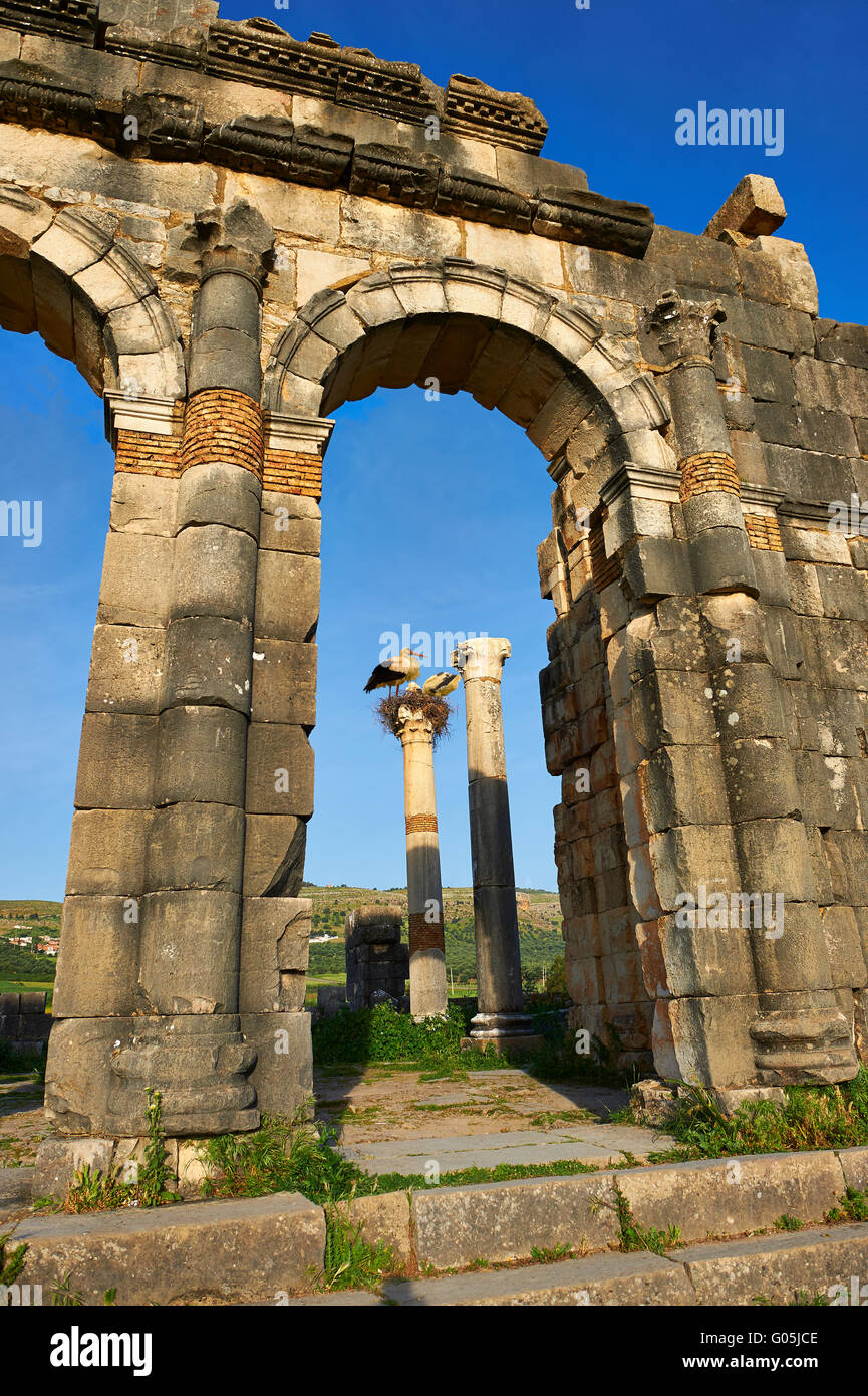 Außenseite des 3. Jahrhunderts Roman Basilica Ruinen am Ausgrabungsstätte Volubilis, Marokko Stockfoto