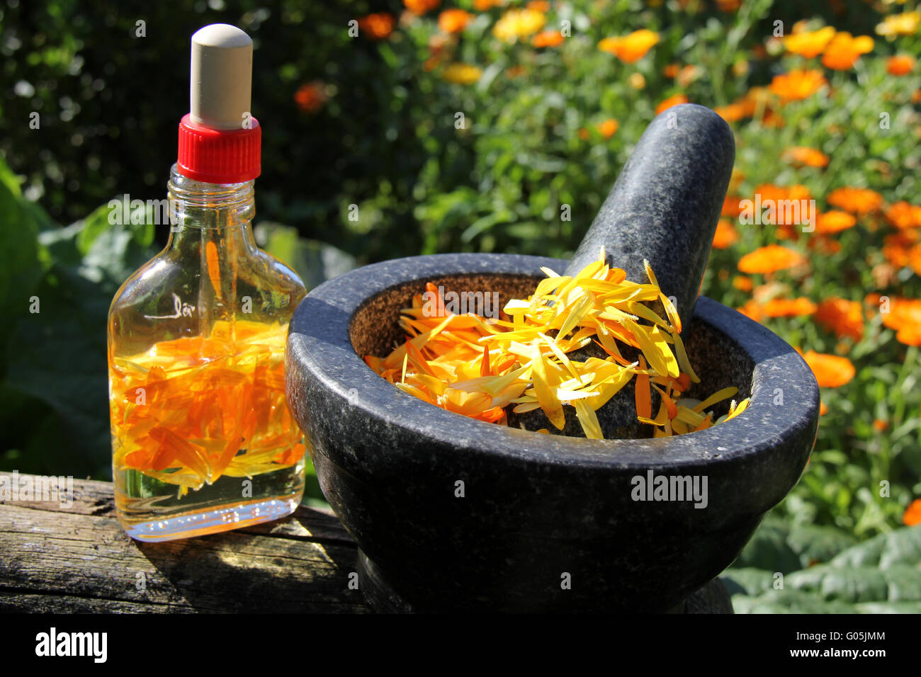 Calendula-Öl in der Homöopathie Stockfoto