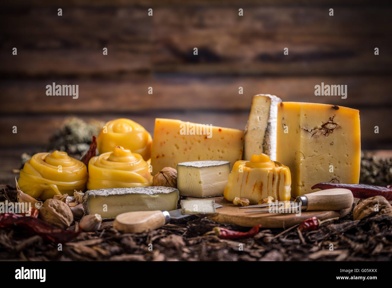 Verschiedene Arten von handwerklichen Käse Stockfoto