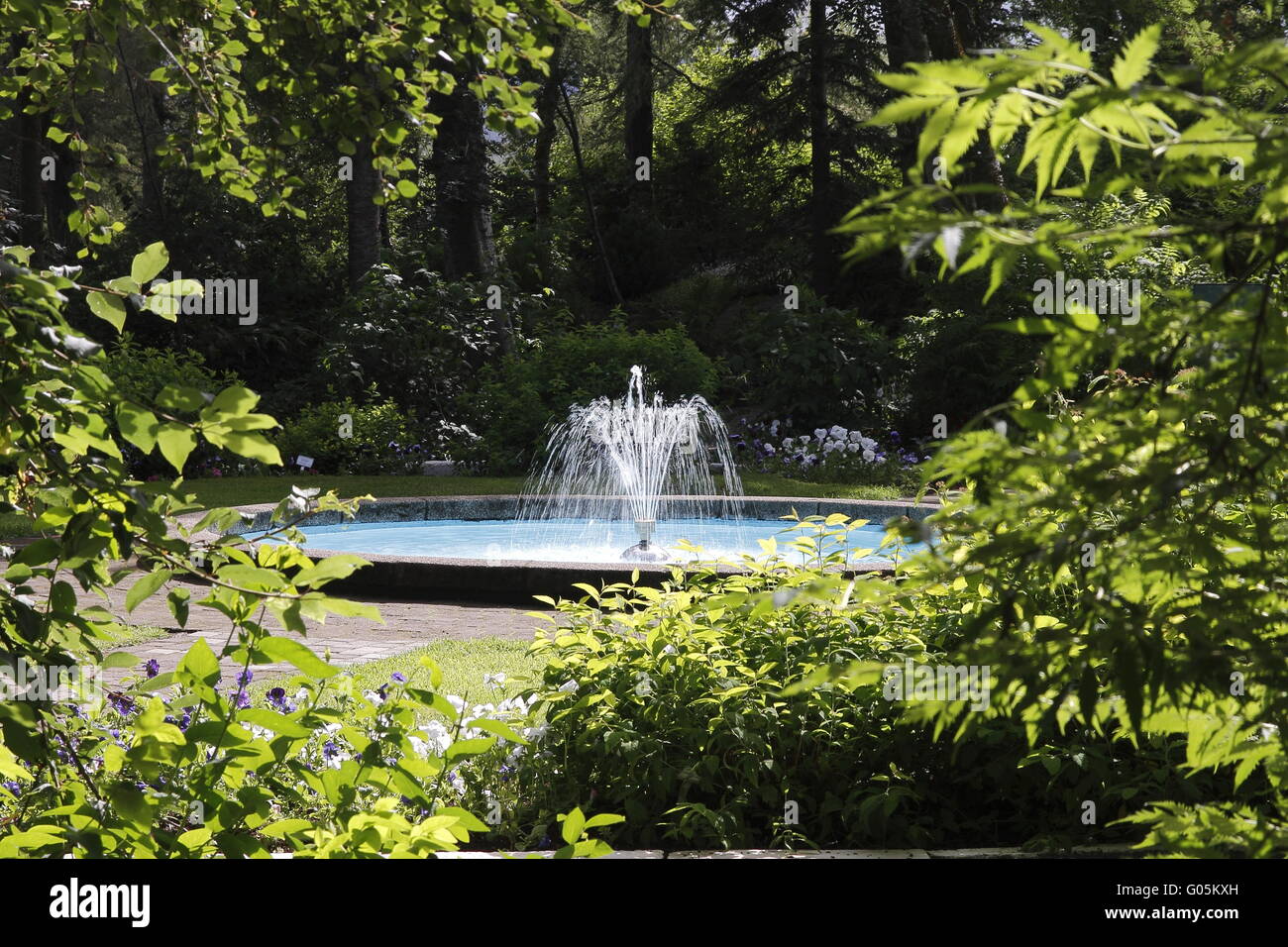 Brunnen Sie die Akureyri Botanical Gardens. Eyjafjörður Stockfoto