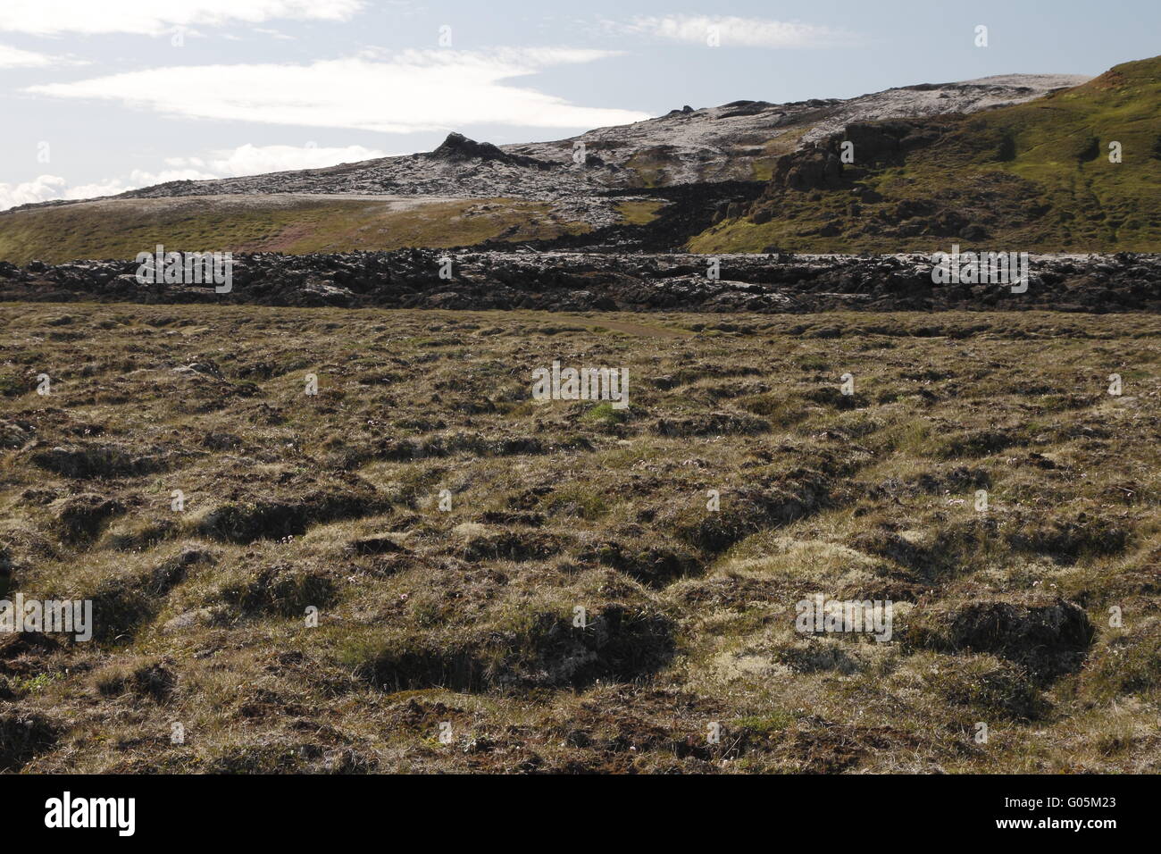 Lavaströme der 1984 Eruption im Vulkangebiet Krafla Stockfoto