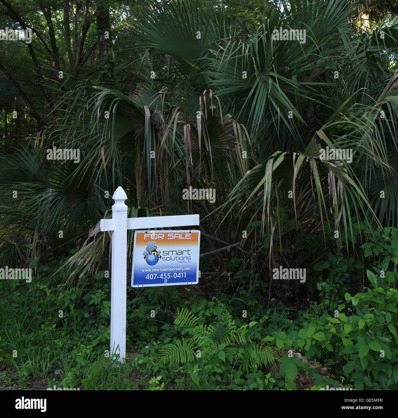 Unbebaute Immobilien zum Verkauf in Florida. April 2016 Stockfoto