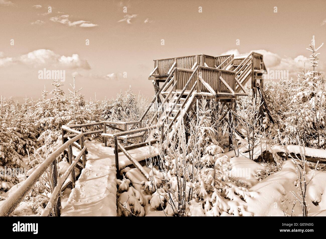Aussichtsturm Lothar Pfad Schwarzwald Deutschland Stockfoto