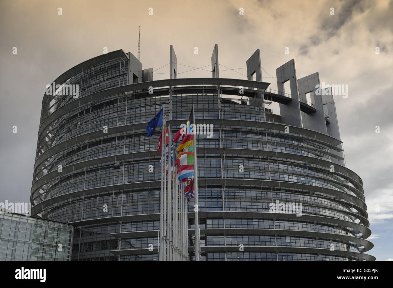 Europäische Parlament mit europäischen Flaggen Stockfoto