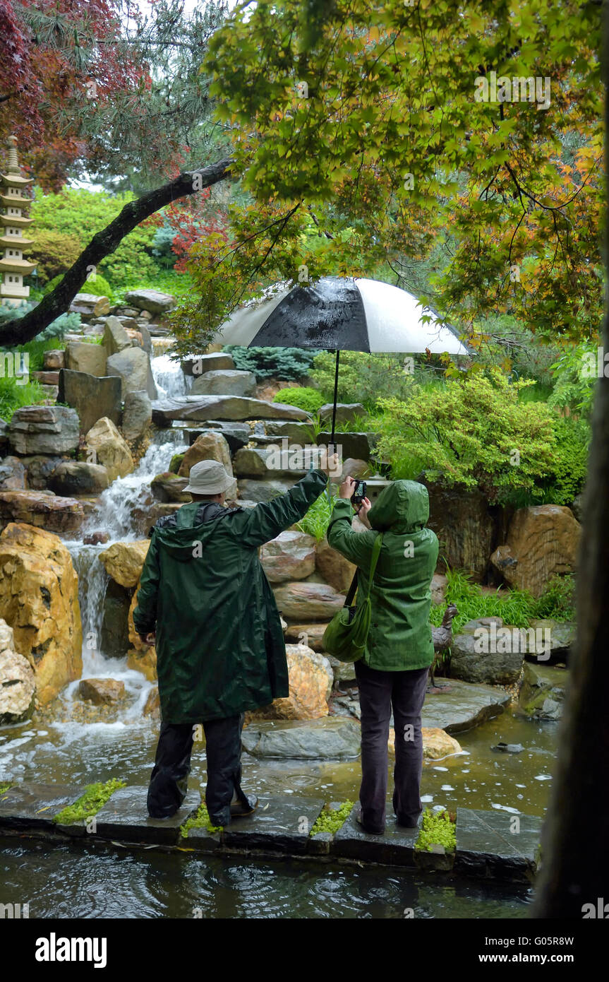 Fotografieren der Garten im japanischen Stil im Regen an der Hillwood Immobilien, Museum und Gärten. Washington, DC. USA Stockfoto