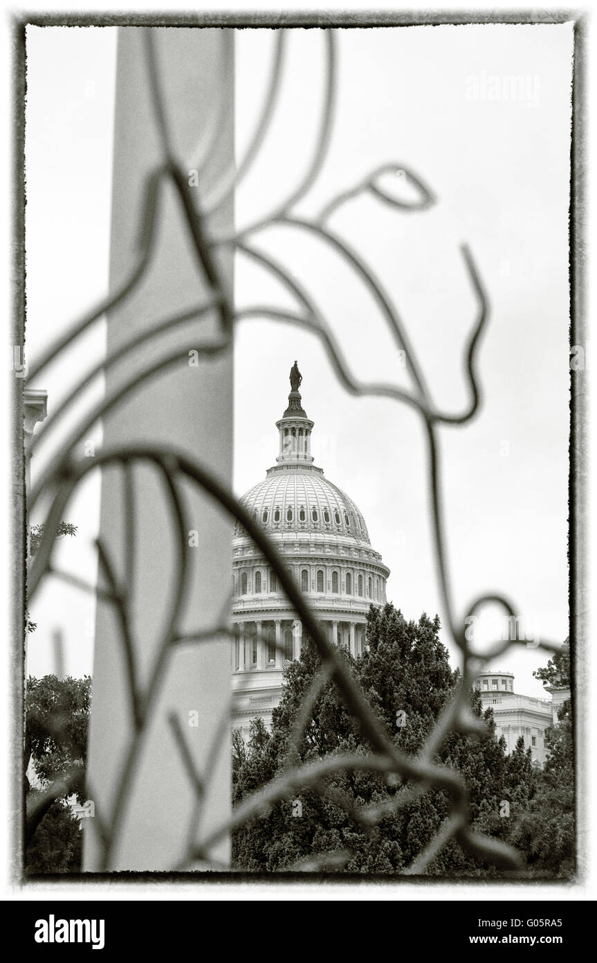Die Kuppel des US-Kapitols. Washington, DC. USA Stockfoto