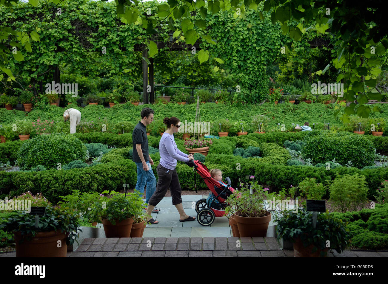 National Arboretum. Washington DC. USA Stockfoto
