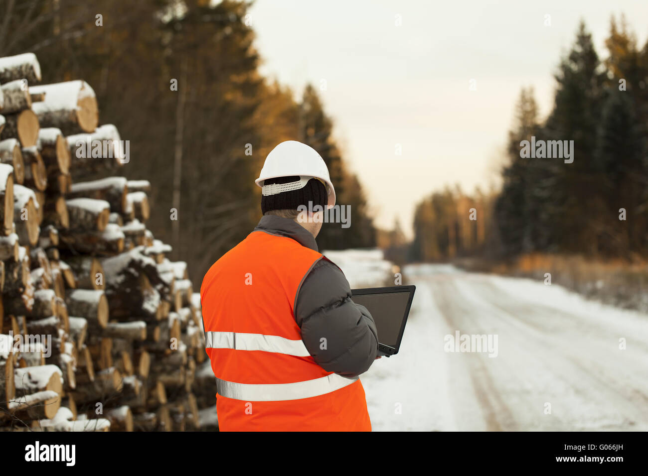 Holzfäller mit dem Computer bei der Anmeldung in Haufen t Stockfoto