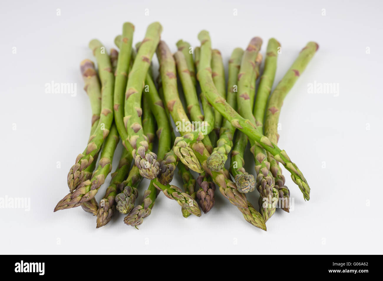 Spargelköpfe vor einem weißen Hintergrund Stockfoto