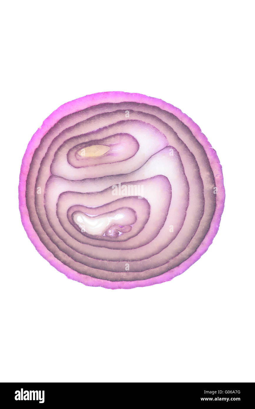 Hinterleuchtete Red Onion Slice vor einem weißen Hintergrund Stockfoto