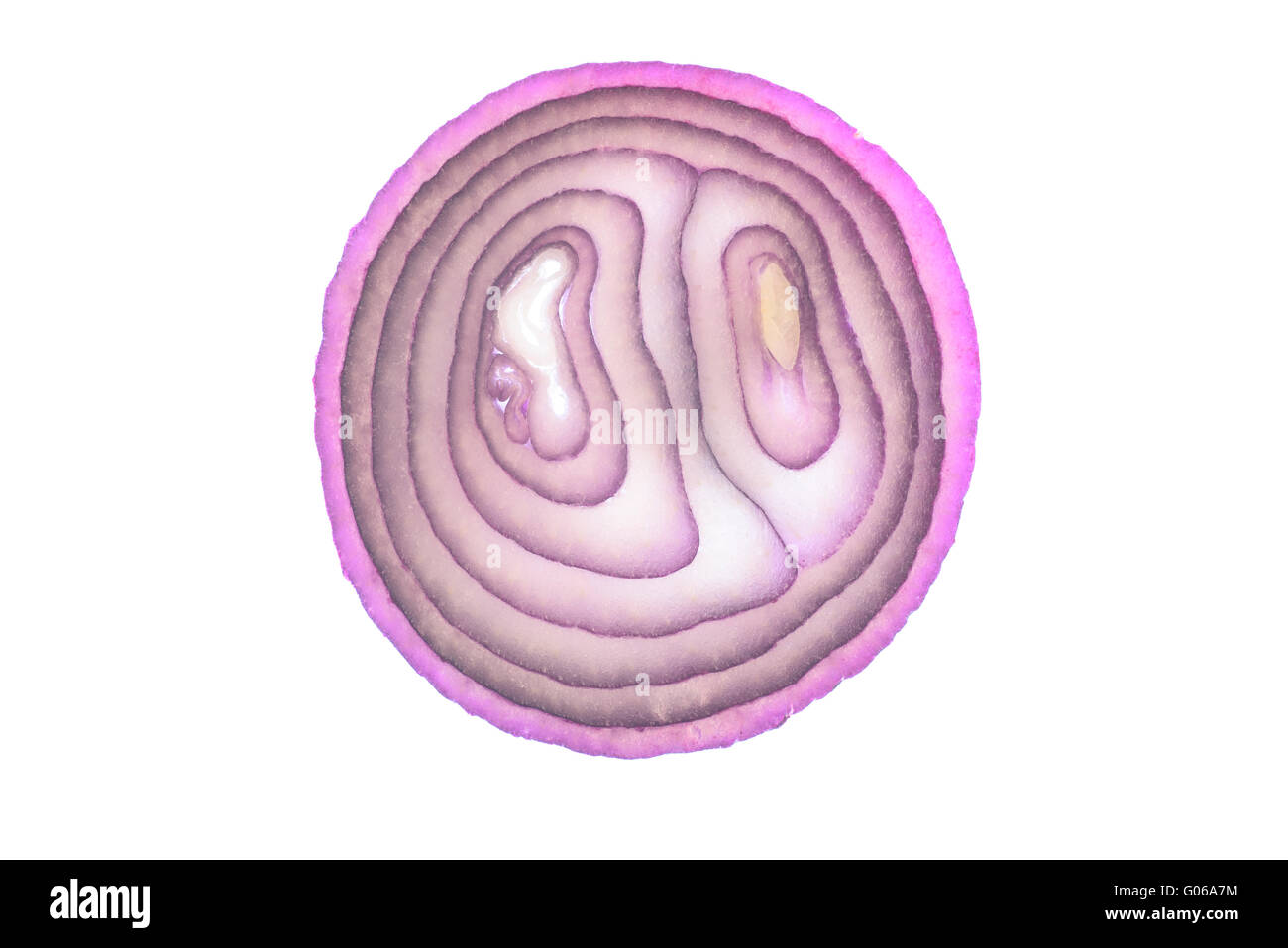 Hinterleuchtete Red Onion Slice vor einem weißen Hintergrund Stockfoto