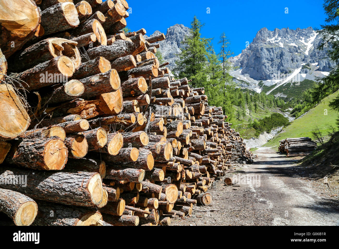 OOD-verarbeitende Industrie / Holz / Alpen Stockfoto